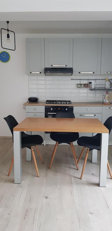 Apartmán Casa Zorilor Cluj Exteriér fotografie